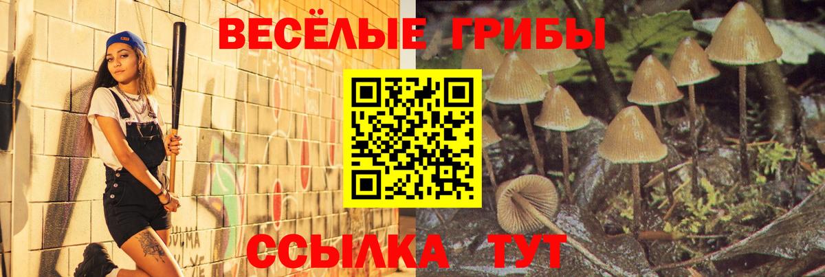 Галлюциногенные грибы мицелий  Псилоцибиновые грибы мухоморы  Вход с VPN  Урай 